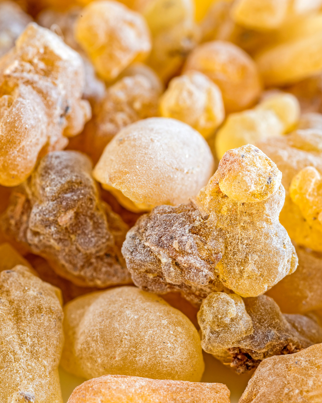 Frankincense: A Science-Backed Ally for Skin Renewal and Longevity