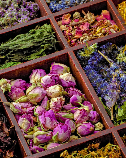 Whole-Plant Skincare